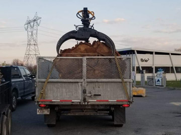 Abattage arbres Saint-Sauveur